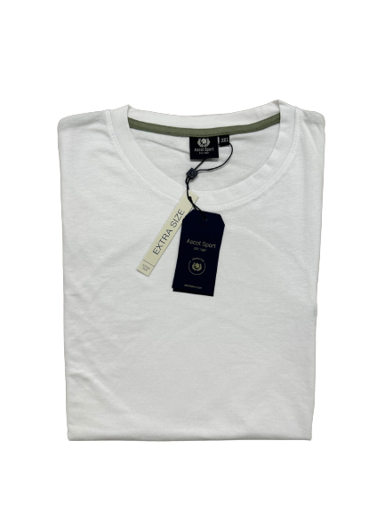 T- Shirt Girocollo Mezza Manica Taglie Forti in Cotone Ascot 15505-527 - Blocco94