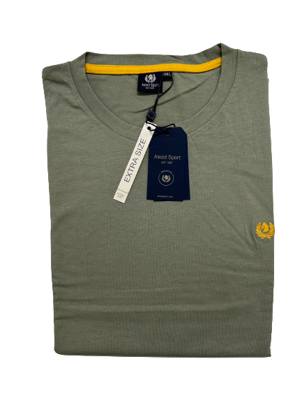 T- Shirt Girocollo Mezza Manica Taglie Forti in Cotone Ascot 15505-527 - Blocco94