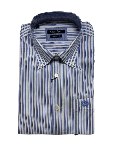 Camicia Manica Lunga Ascot 15773-212 Colore 81
