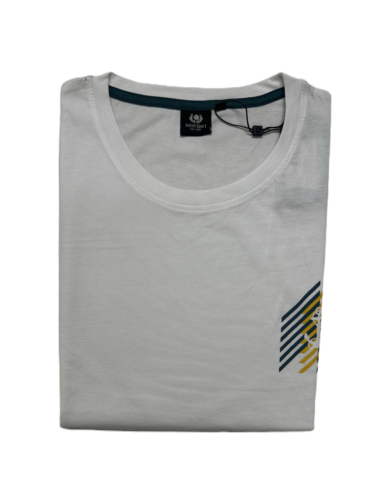 T- Shirt Girocollo Mezza Manica Taglie Forti in Cotone con Stampa Ascot 15705-580