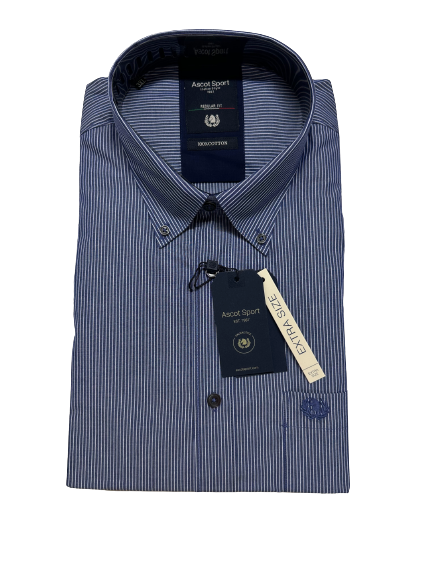 Camicia Manica Lunga Ascot Taglie Forti 15673-512 Col 43 - Blocco94