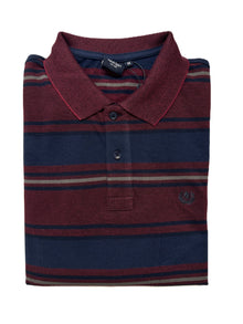 Polo Manica Lunga in Caldo Piquet Ascot 15215-310 Col 06