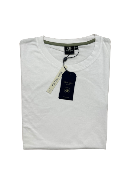 T-Shirt Girocollo Mezza Manica in Cotone  Ascot 05-327