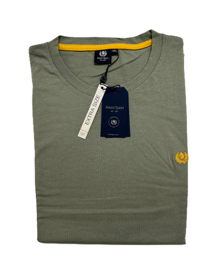 T- Shirt Girocollo Mezza Manica Taglie Forti in Cotone Ascot 15505-527 - Blocco94