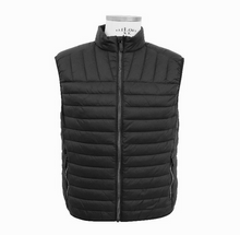 Giubbino 100 Grammi Smanicato 15744-514 Ascot Taglie Forti