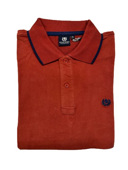 Polo Manica Lunga in Caldo Cotone Ascot 15281-312 - Blocco94