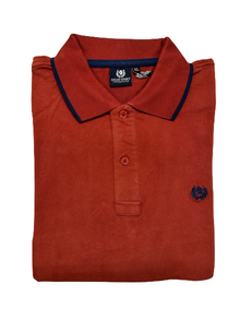 Polo Manica Lunga Ascot 81-317 Coccio 55