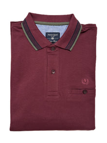 Polo Manica Lunga con Taschino in Caldo Piquet Ascot 87-303 Vinaccia 43
